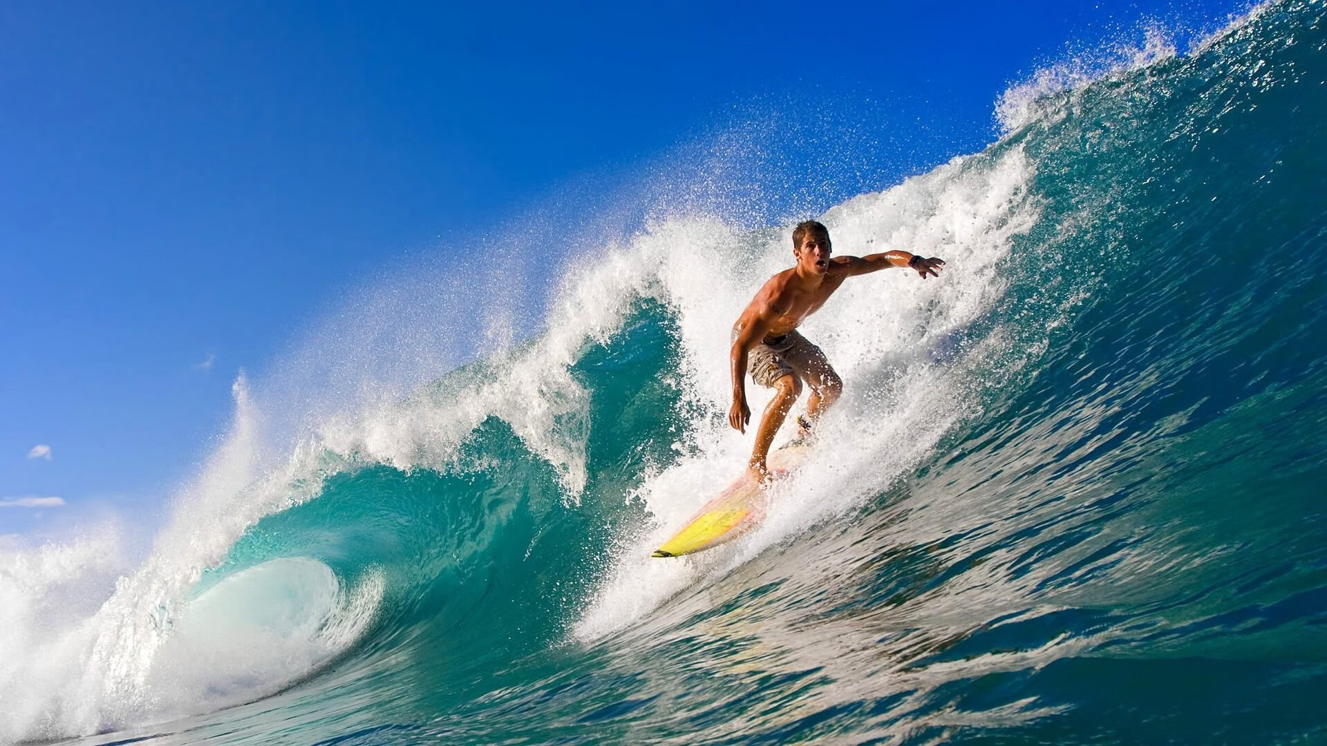 _大型风筝运动节：空中艺术盛宴_，运动风筝比赛视频